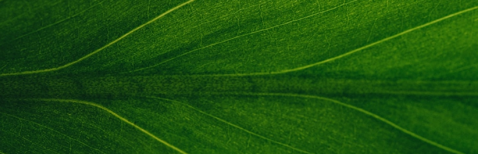 environmental-impact-and-sustainability